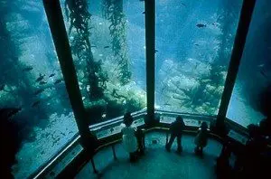 ARCHITECT’S Review of the Vision & Technology Supporting the Beloved Monterey Bay Aquarium