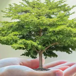 Examining WELL: Q&A with Syska’s Xun Jia, Performance Testing Agent